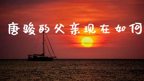 唐骏的父亲现在如何_https://m.jnlaobingbanjia.com_基金市场_第1张
