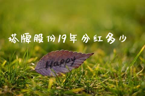 塔牌股份19年分红多少_https://m.jnlaobingbanjia.com_全球市场_第1张