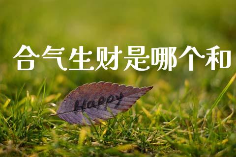 合气生财是哪个和_https://m.jnlaobingbanjia.com_基金市场_第1张