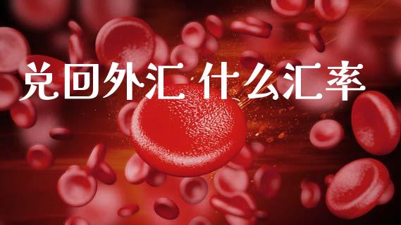 兑回外汇 什么汇率_https://m.jnlaobingbanjia.com_金融监管_第1张