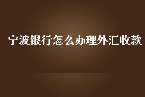 宁波银行怎么办理外汇收款_https://m.jnlaobingbanjia.com_金融监管_第1张