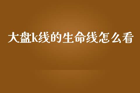 大盘k线的生命线怎么看_https://m.jnlaobingbanjia.com_全球市场_第1张