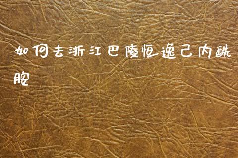 如何去浙江巴陵恒逸己内酰胺_https://m.jnlaobingbanjia.com_全球市场_第1张