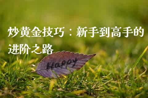 炒黄金技巧：新手到高手的进阶之路_https://m.jnlaobingbanjia.com_股市新闻_第1张
