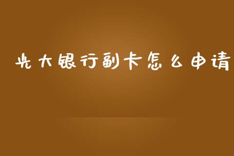 光大银行副卡怎么申请_https://m.jnlaobingbanjia.com_基金市场_第1张