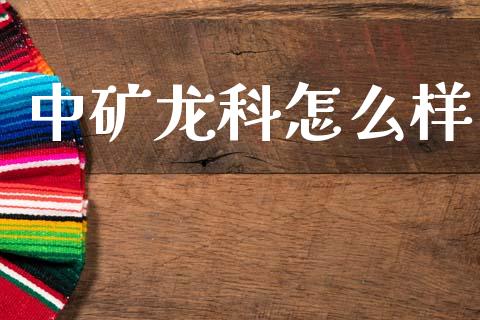 中矿龙科怎么样_https://m.jnlaobingbanjia.com_金融监管_第1张