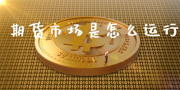 期货市场是怎么运行_https://m.jnlaobingbanjia.com_全球市场_第1张