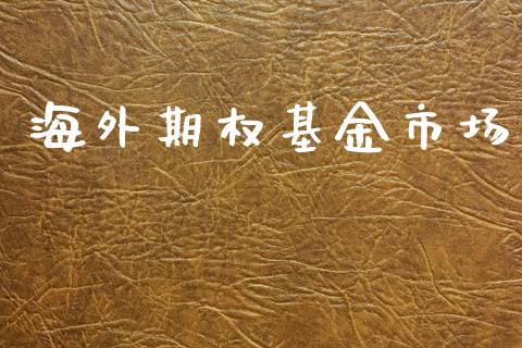海外期权基金市场_https://m.jnlaobingbanjia.com_区块链_第1张