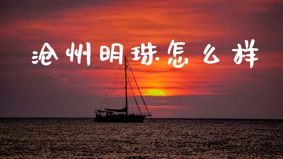 沧州明珠怎么样_https://m.jnlaobingbanjia.com_基金市场_第1张