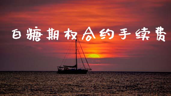 白糖期权合约手续费_https://m.jnlaobingbanjia.com_全球市场_第1张