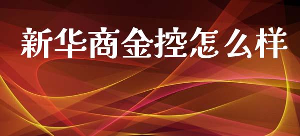 新华商金控怎么样_https://m.jnlaobingbanjia.com_全球市场_第1张