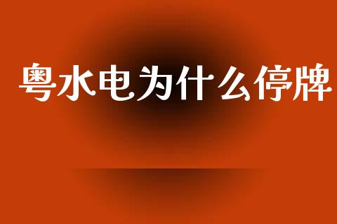 粤水电为什么停牌_https://m.jnlaobingbanjia.com_理财规划_第1张