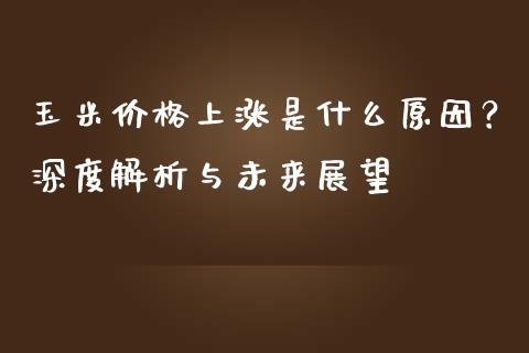 玉米价格上涨是什么原因？深度解析与未来展望_https://m.jnlaobingbanjia.com_股市新闻_第1张