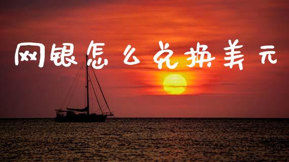 网银怎么兑换美元_https://m.jnlaobingbanjia.com_金融监管_第1张