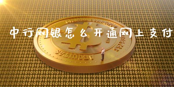 中行网银怎么开通网上支付_https://m.jnlaobingbanjia.com_金融监管_第1张