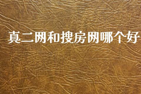真二网和搜房网哪个好_https://m.jnlaobingbanjia.com_股市新闻_第1张