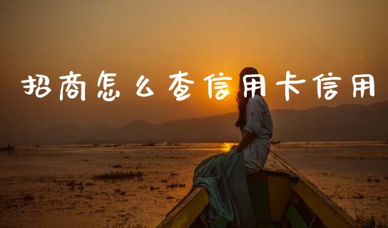 招商怎么查信用卡信用_https://m.jnlaobingbanjia.com_区块链_第1张
