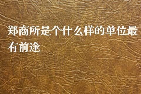 郑商所是个什么样的单位最有前途_https://m.jnlaobingbanjia.com_理财规划_第1张