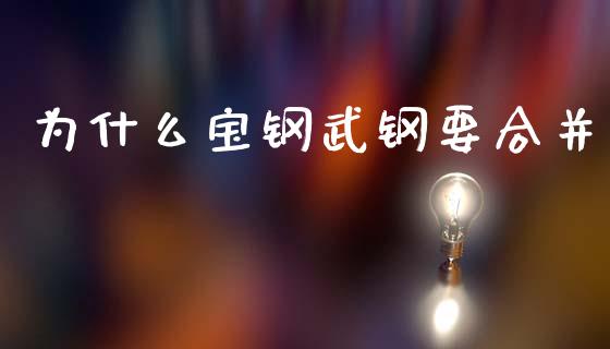 为什么宝钢武钢要合并_https://m.jnlaobingbanjia.com_基金市场_第1张