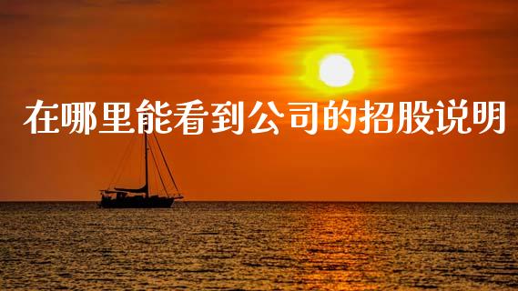 在哪里能看到公司的招股说明_https://m.jnlaobingbanjia.com_金融监管_第1张