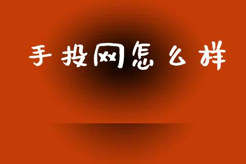 手投网怎么样_https://m.jnlaobingbanjia.com_金融监管_第1张