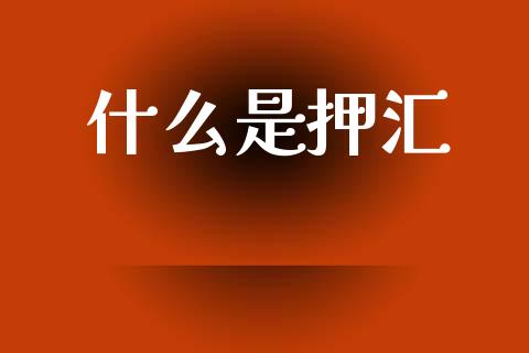 什么是押汇_https://m.jnlaobingbanjia.com_金融监管_第1张