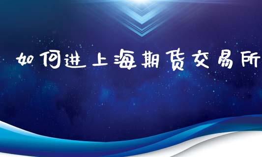 如何进上海期货交易所_https://m.jnlaobingbanjia.com_金融监管_第1张