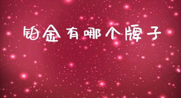 铂金有哪个牌子_https://m.jnlaobingbanjia.com_理财规划_第1张