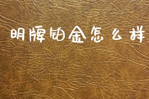 明牌铂金怎么样_https://m.jnlaobingbanjia.com_区块链_第1张