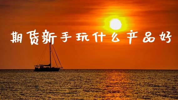 期货新手玩什么产品好_https://m.jnlaobingbanjia.com_股市新闻_第1张