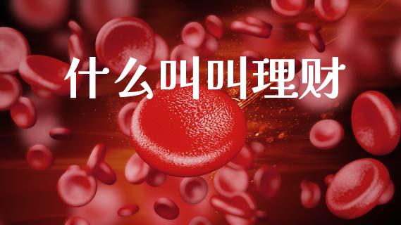 什么叫叫理财_https://m.jnlaobingbanjia.com_理财规划_第1张