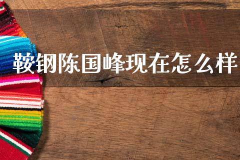 鞍钢陈国峰现在怎么样_https://m.jnlaobingbanjia.com_金融监管_第1张