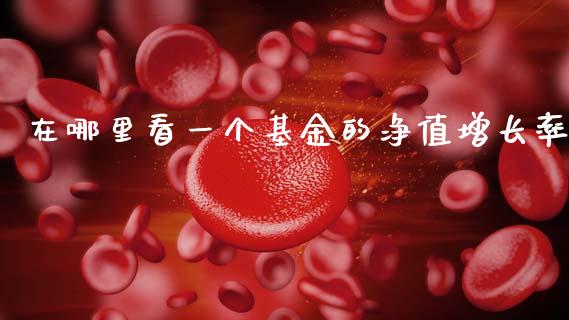 在哪里看一个基金的净值增长率_https://m.jnlaobingbanjia.com_全球市场_第1张