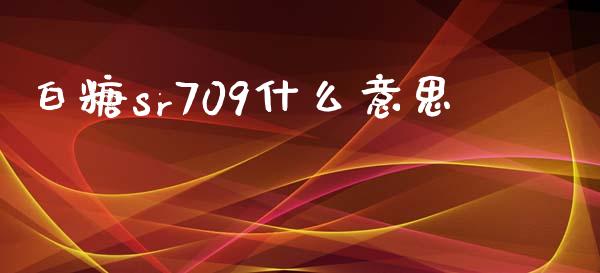 白糖sr709什么意思_https://m.jnlaobingbanjia.com_金融监管_第1张