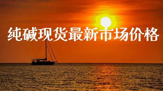纯碱现货最新市场价格_https://m.jnlaobingbanjia.com_理财规划_第1张