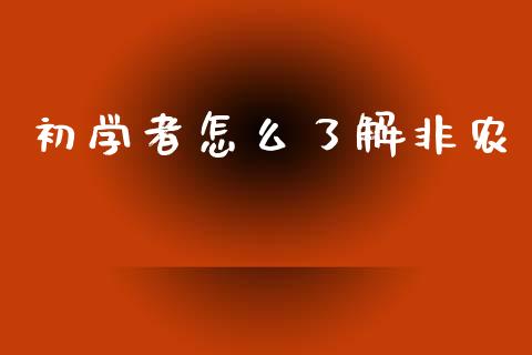 初学者怎么了解非农_https://m.jnlaobingbanjia.com_股市新闻_第1张