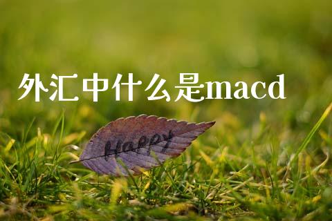 外汇中什么是macd_https://m.jnlaobingbanjia.com_金融监管_第1张