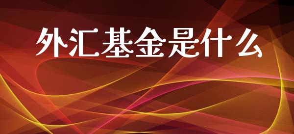 外汇基金是什么_https://m.jnlaobingbanjia.com_金融监管_第1张