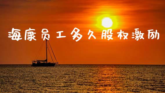 海康员工多久股权激励_https://m.jnlaobingbanjia.com_理财规划_第1张