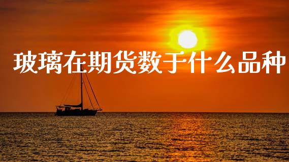 玻璃在期货数于什么品种_https://m.jnlaobingbanjia.com_金融监管_第1张