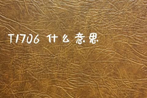 T1706 什么意思_https://m.jnlaobingbanjia.com_金融监管_第1张