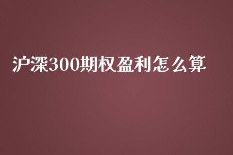 沪深300期权盈利怎么算_https://m.jnlaobingbanjia.com_金融监管_第1张