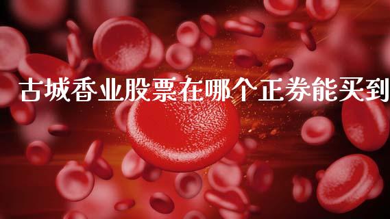 古城香业股票在哪个正券能买到_https://m.jnlaobingbanjia.com_基金市场_第1张