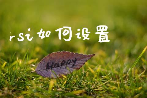 rsi如何设置_https://m.jnlaobingbanjia.com_金融监管_第1张