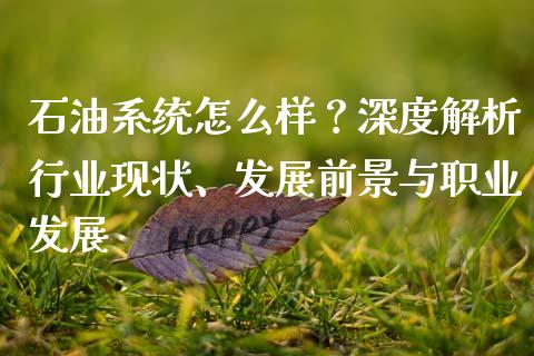石油系统怎么样？深度解析行业现状、发展前景与职业发展_https://m.jnlaobingbanjia.com_理财规划_第1张