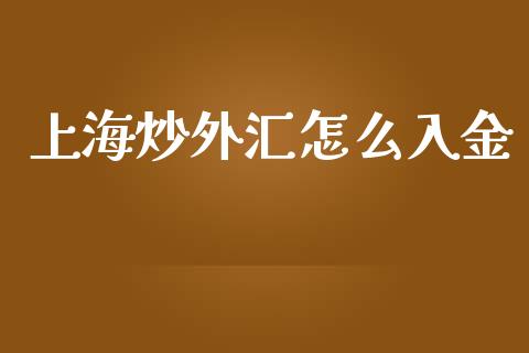 上海炒外汇怎么入金_https://m.jnlaobingbanjia.com_金融监管_第1张