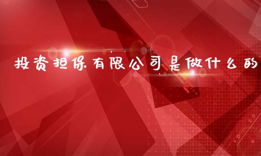 投资担保有限公司是做什么的_https://m.jnlaobingbanjia.com_基金市场_第1张