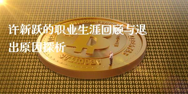 许新跃的职业生涯回顾与退出原因探析_https://m.jnlaobingbanjia.com_区块链_第1张