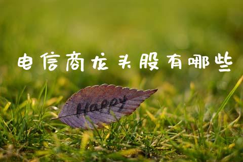 电信商龙头股有哪些_https://m.jnlaobingbanjia.com_基金市场_第1张