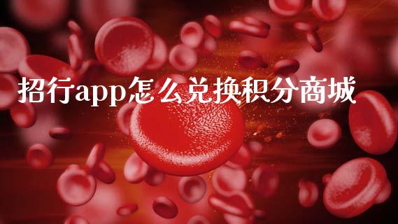 招行app怎么兑换积分商城_https://m.jnlaobingbanjia.com_基金市场_第1张